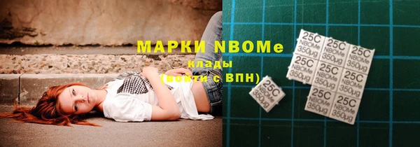 индика Сосновка
