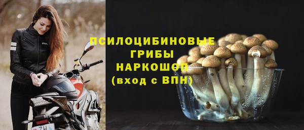 хмурый Сосновоборск