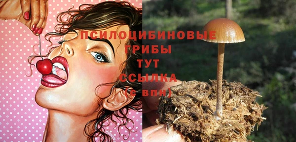 индика Сосновка