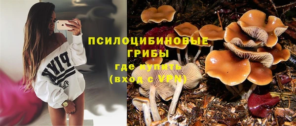мдпв Коряжма