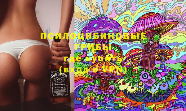 мдпв Коряжма