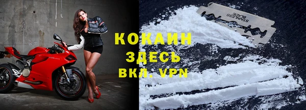 ешки Корсаков