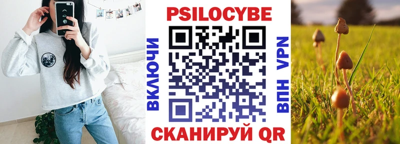 KRAKEN онион  Моршанск  Галлюциногенные грибы GOLDEN TEACHER 